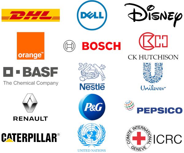 Global companies where our alumni work