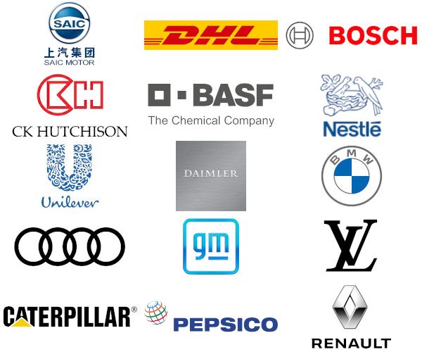 Global companies our alumni work with