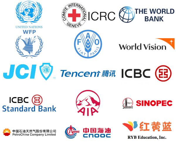 Organisations and employers represented among alumni in China
