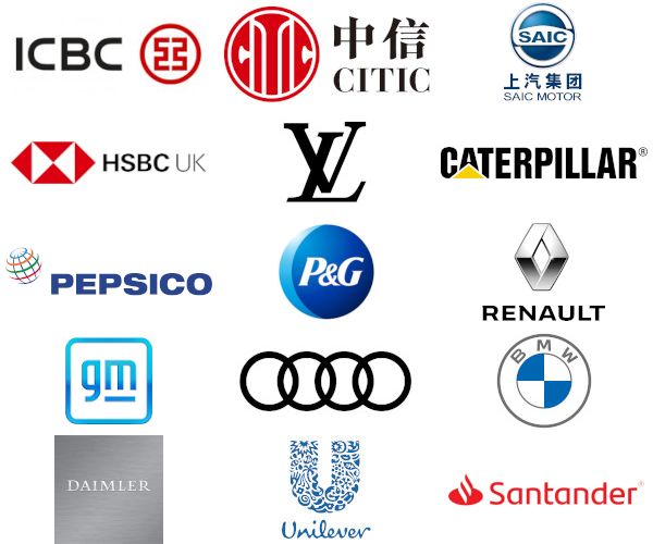 Organisations represented among alumni in China